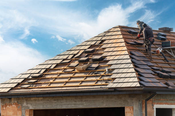 Best Cold Roofs  in Apple Mountain Lake, VA