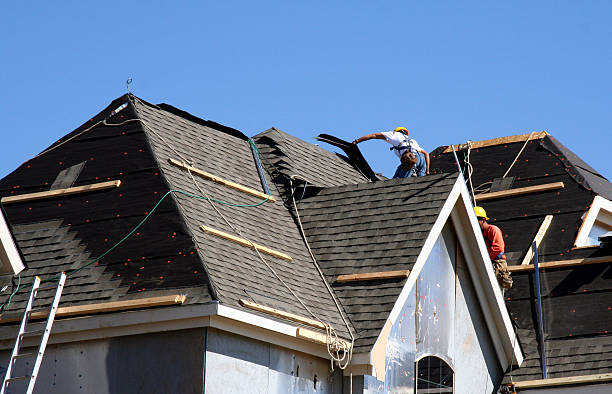 Best Roof Insulation Installation  in Apple Mountain Lake, VA